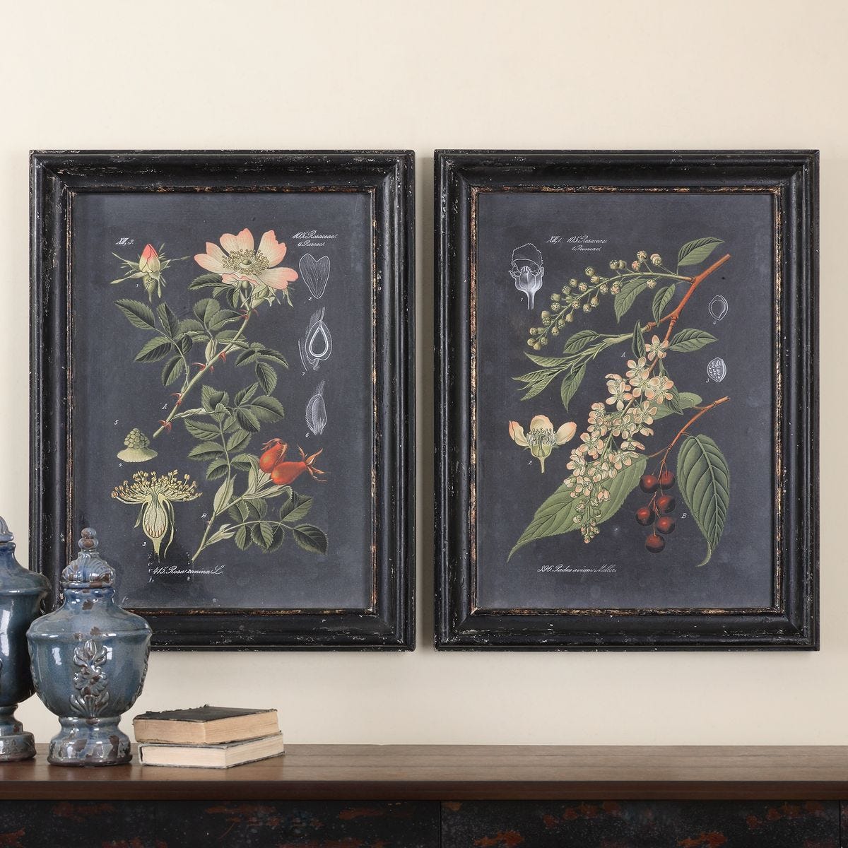 56053