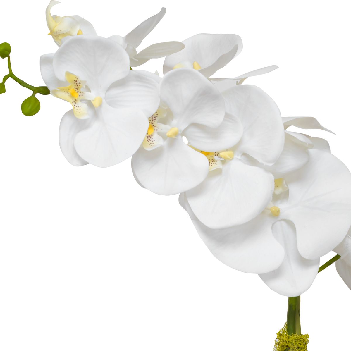 60189