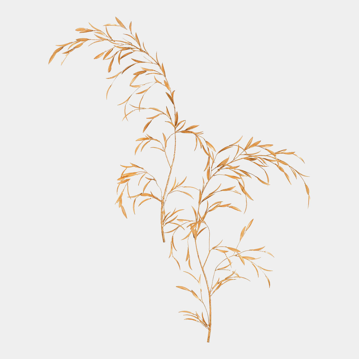 Wds8068-Gv