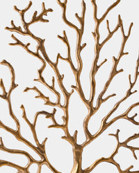 883399-Detail Texture