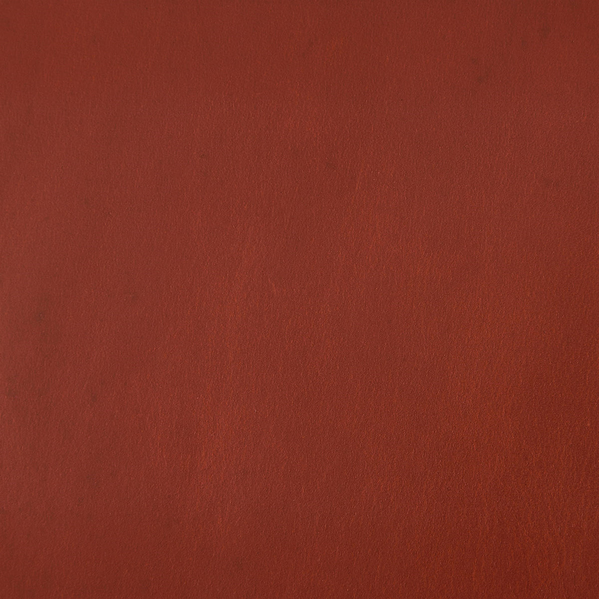 Wdseh9242-Gv-Detail 119