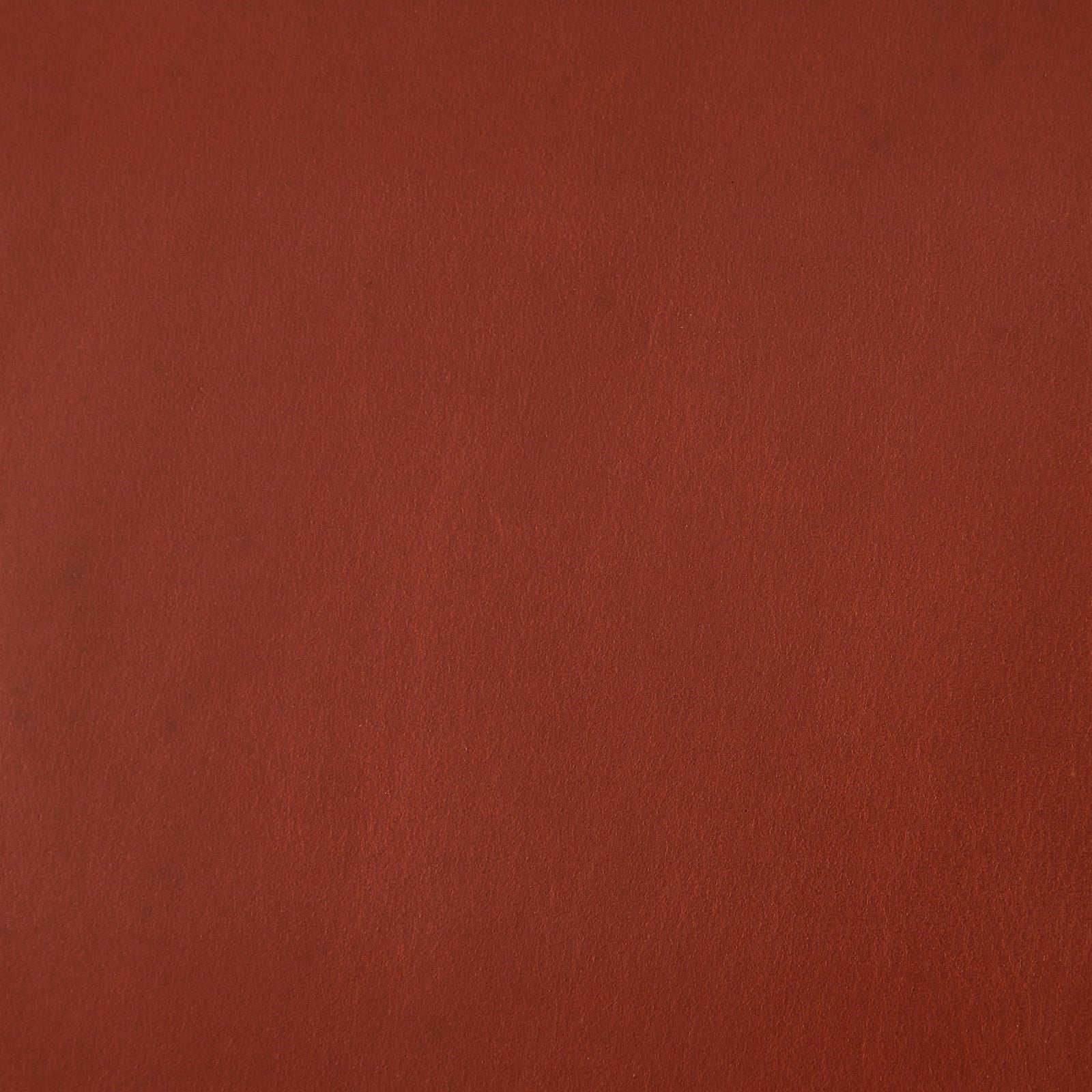 Wdseh9242-Gv-Detail 119