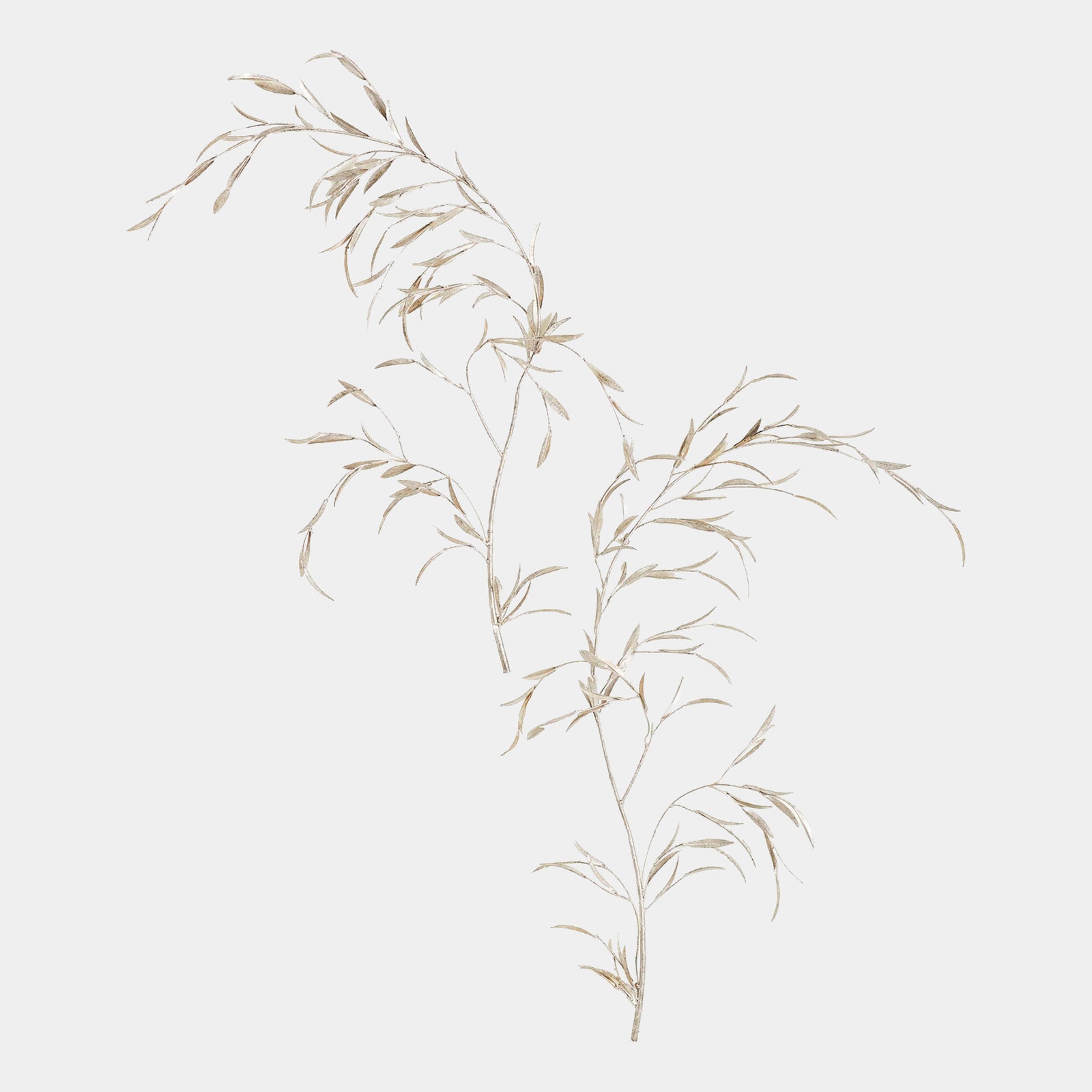 Wds8069-Gv