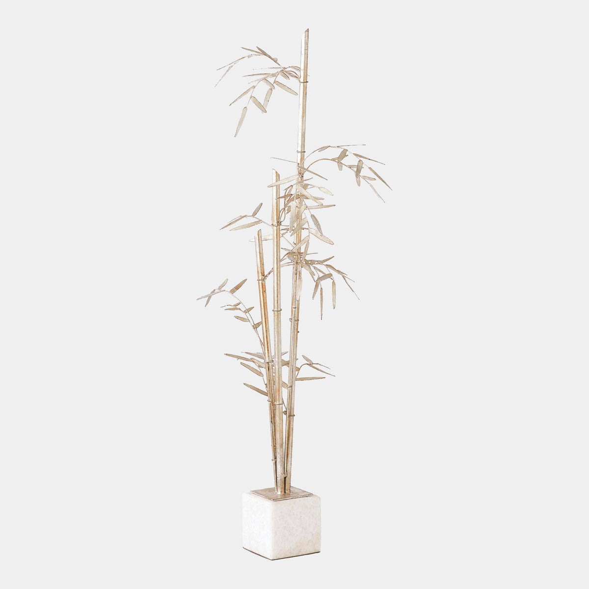 Wds8023-Gv