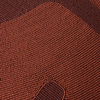 Ca990034-Detail Texture