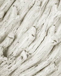 1200-1109