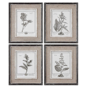 Casual Grey Study Framed Prints, S/4