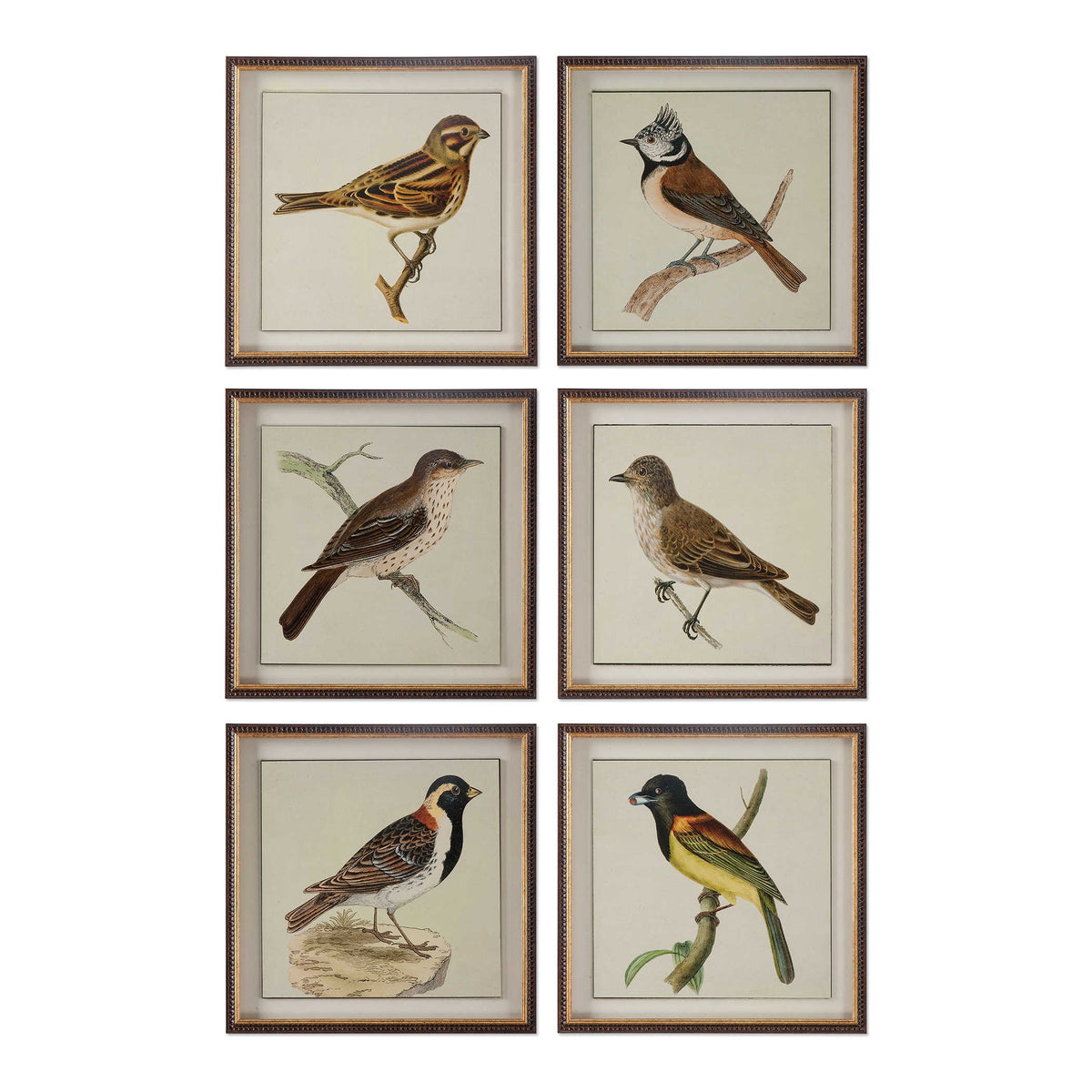 Spring Soldiers Framed Prints, S/6