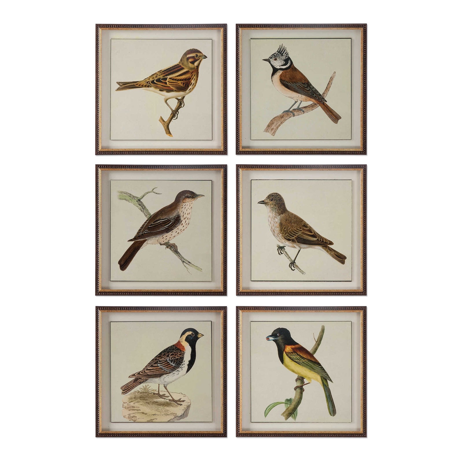 Spring Soldiers Framed Prints, S/6