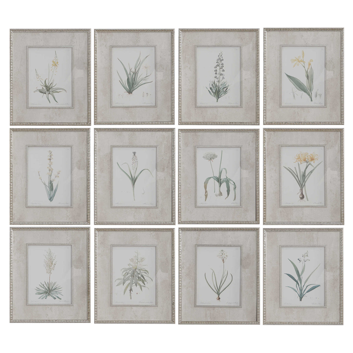 Spring Florals Framed Prints, S/12