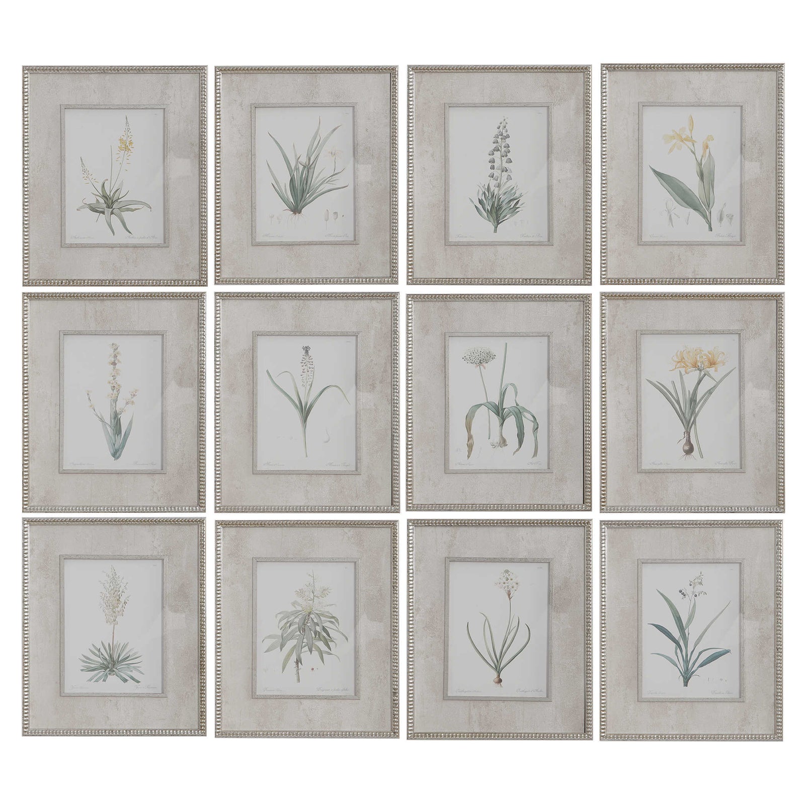 Spring Florals Framed Prints, S/12