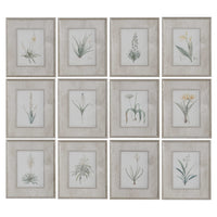 Spring Florals Framed Prints, S/12