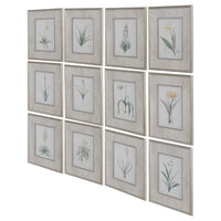 Spring Florals Framed Prints, S/12
