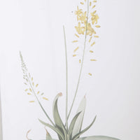 Spring Florals Framed Prints, S/12
