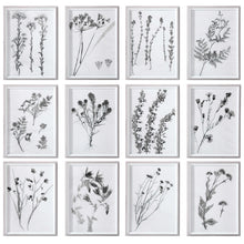 Load image into Gallery viewer, Contemporary Botanicals Framed Prints, S/12
