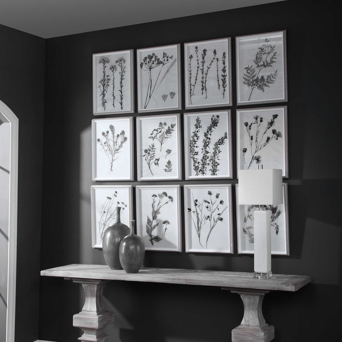 Contemporary Botanicals Framed Prints, S/12