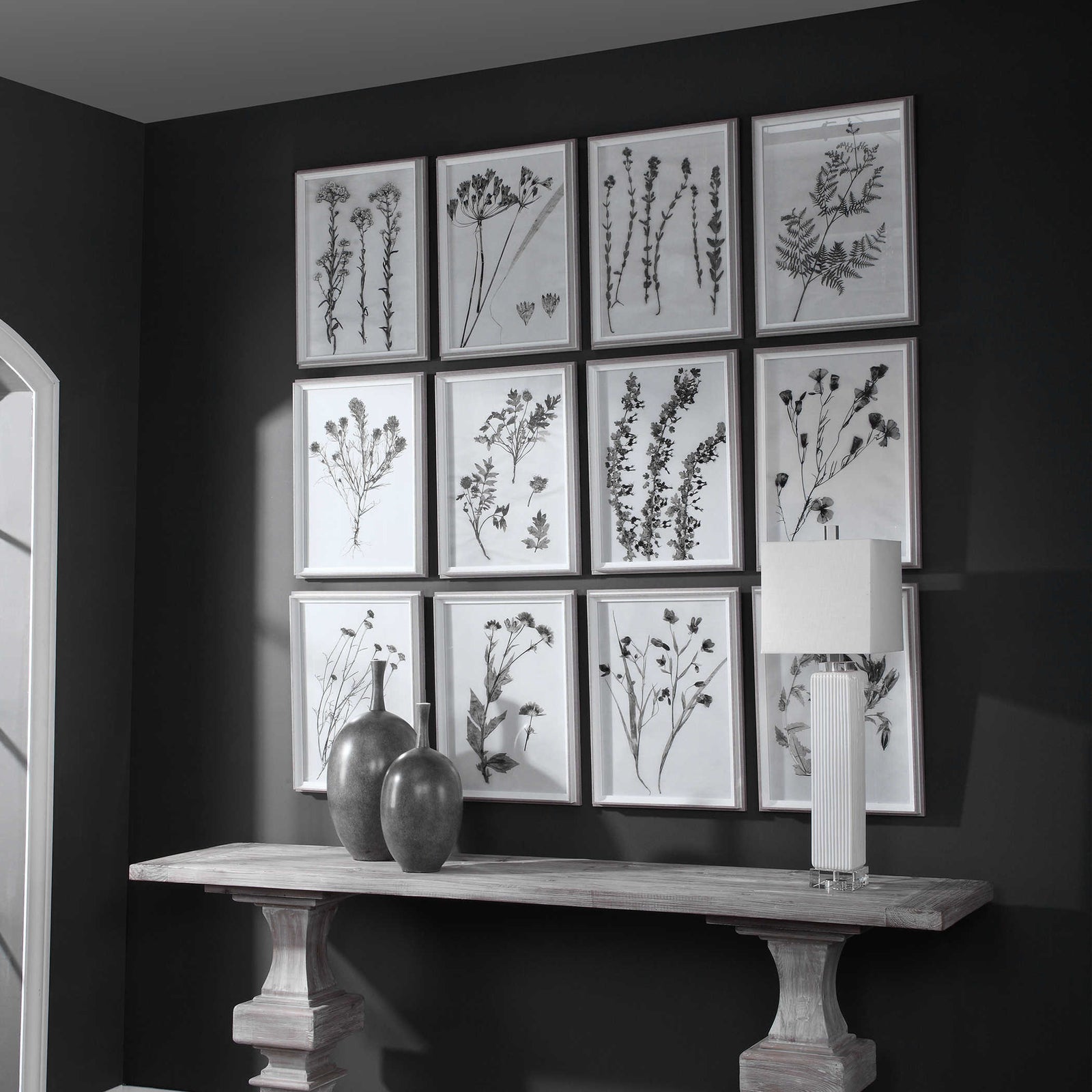 Contemporary Botanicals Framed Prints, S/12