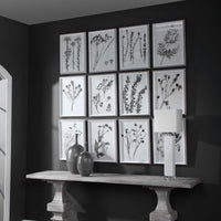 Contemporary Botanicals Framed Prints, S/12