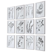 Load image into Gallery viewer, Contemporary Botanicals Framed Prints, S/12
