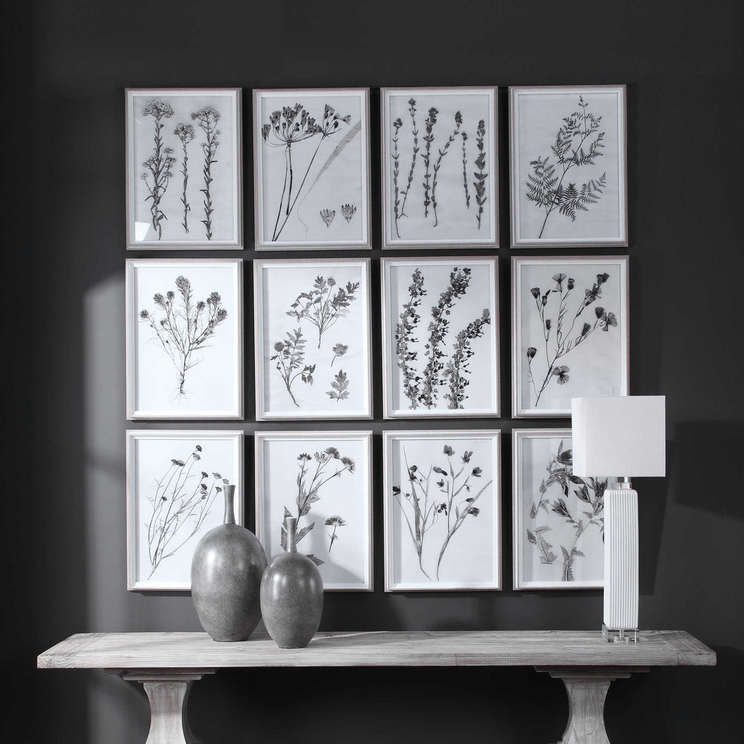 Contemporary Botanicals Framed Prints, S/12