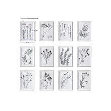 Load image into Gallery viewer, Contemporary Botanicals Framed Prints, S/12
