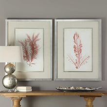 Load image into Gallery viewer, Coral Sea Feathers Framed Prints, S/2
