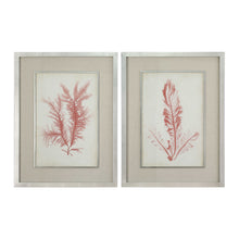 Load image into Gallery viewer, Coral Sea Feathers Framed Prints, S/2
