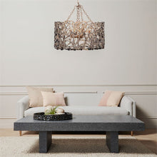 Load image into Gallery viewer, Finnegan Chandelier
