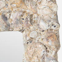Sullivan Oyster Shells