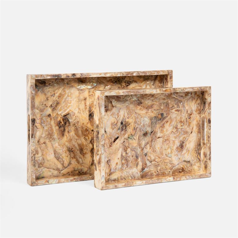 Everix Tray
