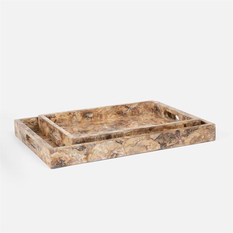 Everix Tray