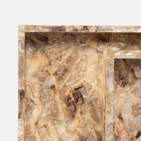 Everix Tray