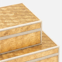 Gaston Box