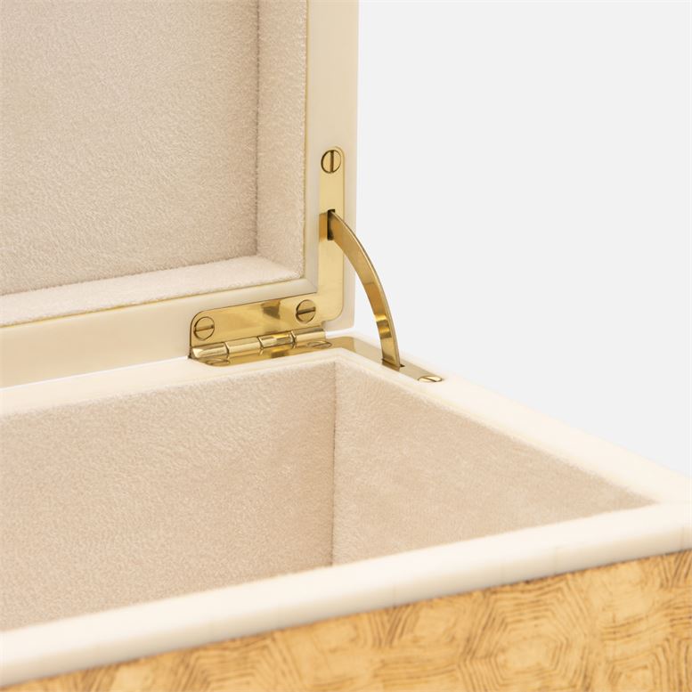 Gaston Box