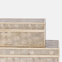 Gaston Box