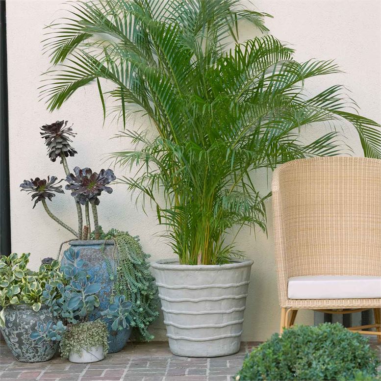 Gerard Planter pot