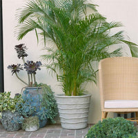 Gerard Planter pot