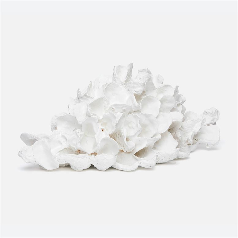 Sonia Oyster Shell