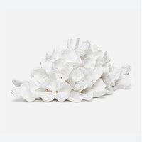 Sonia Oyster Shell