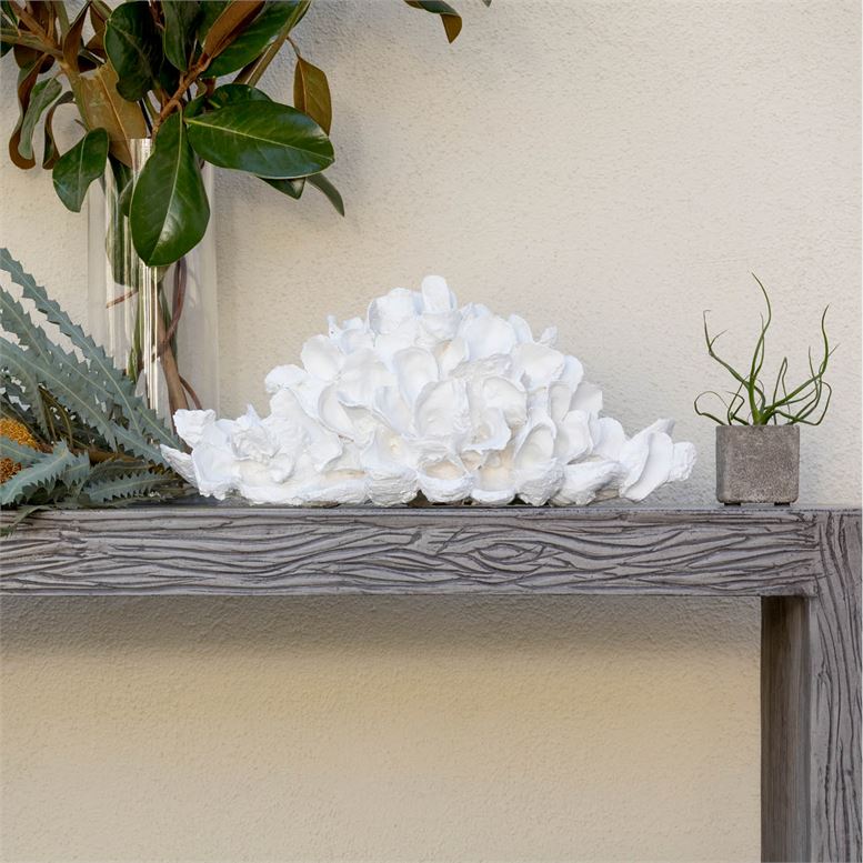 Sonia Oyster Shell