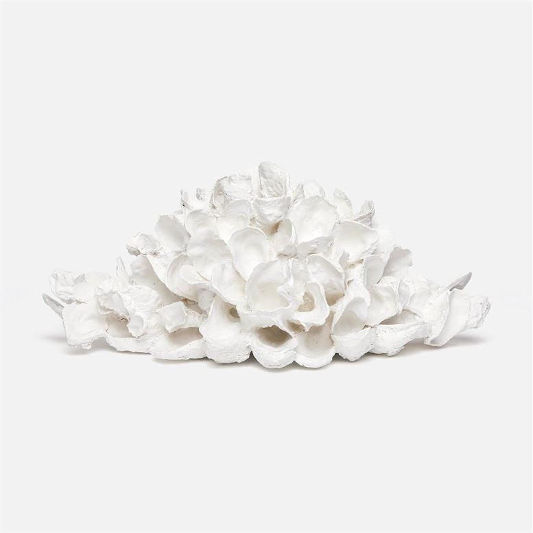 Sonia Oyster Shell