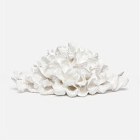 Sonia Oyster Shell