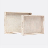 Zared Tray