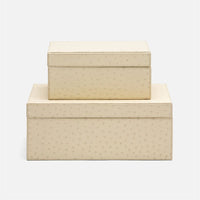 Zsa Zsa Box Set