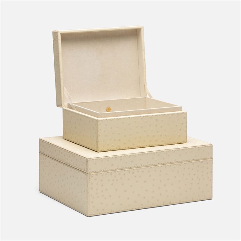 Zsa Zsa Box Set