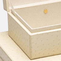 Zsa Zsa Box Set