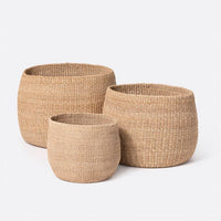 Palben Basket