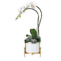 Regent Cachepot - Brass/White