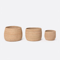Palben Basket