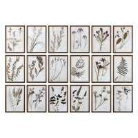 Botany Framed Prints, S/18